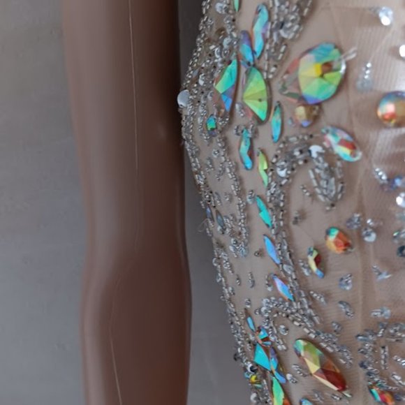 NWT Cinderella Vanilla colour Embellished Beaded long gown size XL - Picture 4 of 13